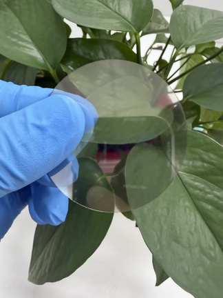 A transparent polycrystalline diamond window held in a gloved hand in front of foliage.